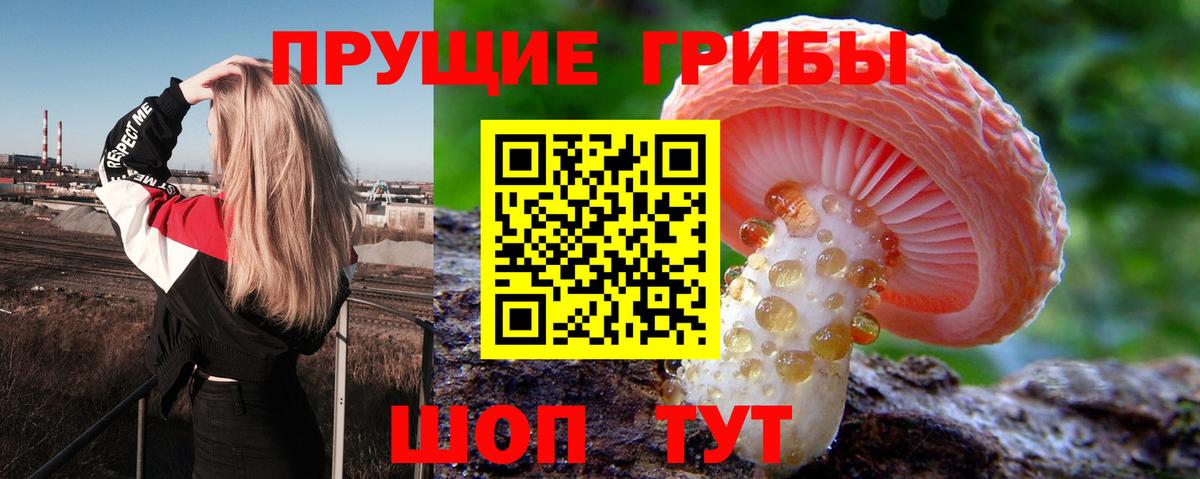 Ливны  Галлюциногенные грибы прущие грибы  Вход с VPN 
